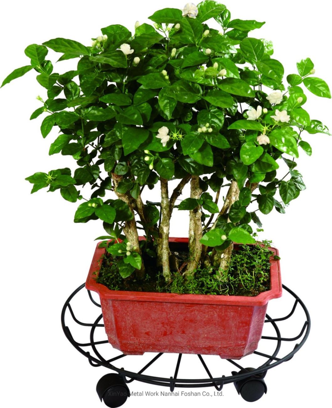 Metal Roller Stand Garden Roller Stand for Planter (XY09045)