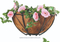 Metal Half Round Planters Iron Wall Basket with Coco Liner (BW090010)