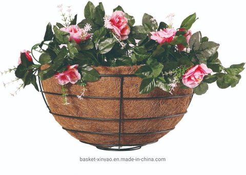 Different Style Garden Iron Wire Wall Basket with Coco Liner Xy51244