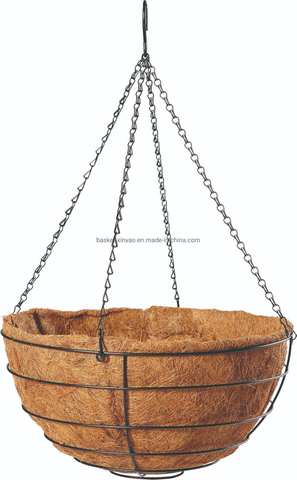 Iron Wire Hanging Basket with Coco Liner and Chain for Flower (3 sizes)