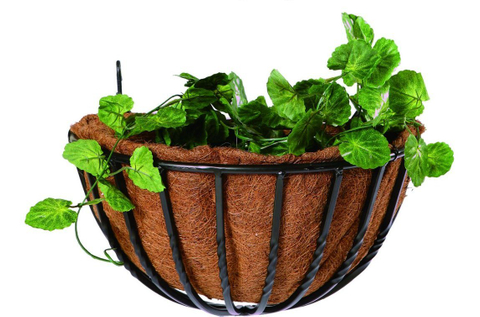 Half Round Twisted Wall Basket with Coco Liner (Xy61426)