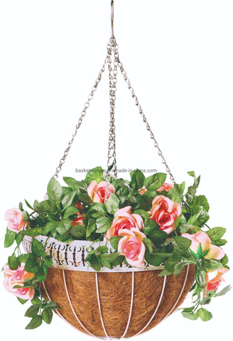 Good quality Hanging Flower Basket with Coco Liner and Chain for Plants