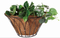 Metal Wall Planter Flat Iron Flower Wall Basket with Coco Liner (BW090012)
