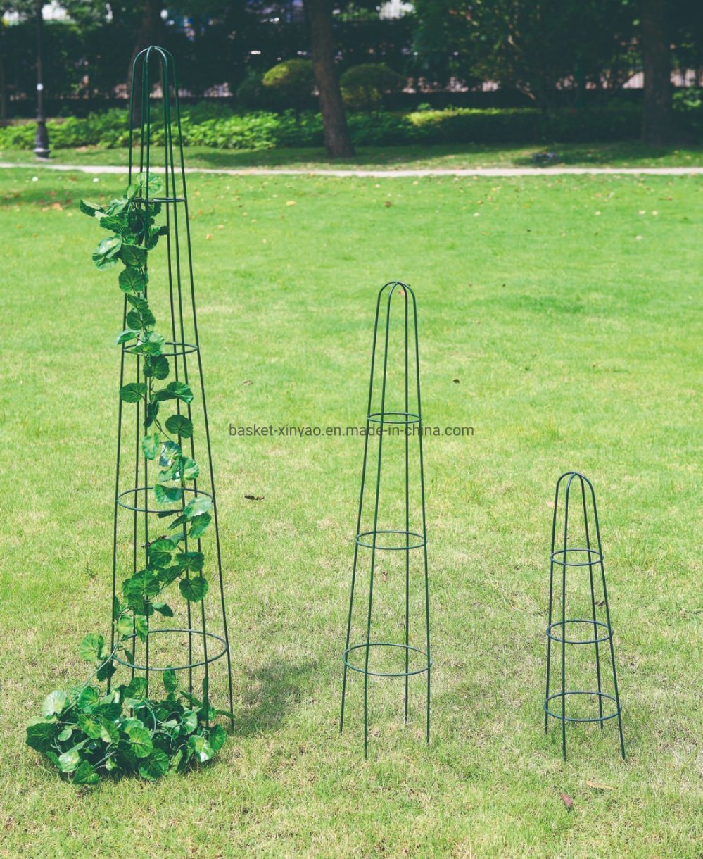 Tomato Cage Iron Flower Pot Trellis Plant Support Garden Obelisk (BS090033)