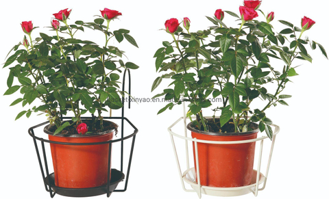 Balcony Flower Metal Wall Basket with a Plate (Xy11148/Xy11146/Xy12923)