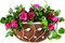 Half Round Metal Wall Basket with Leaf-Shaped and Coco Liner (BW090090)
