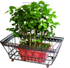 Rectangular Metal Flower Basket Retro Ground Planter with Coco Liner for Home Gardening