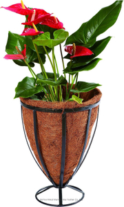 Deep Metal Flower Basket Iron Ground Planter with Coco Liner