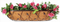 Leaf-Shaped Wrought Iron Wall Planter with Coco Liner (Xy16006/Xy16007/Xy16008)