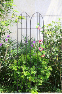 Metal Trellis for Flowers Garden Obelisk for Plants