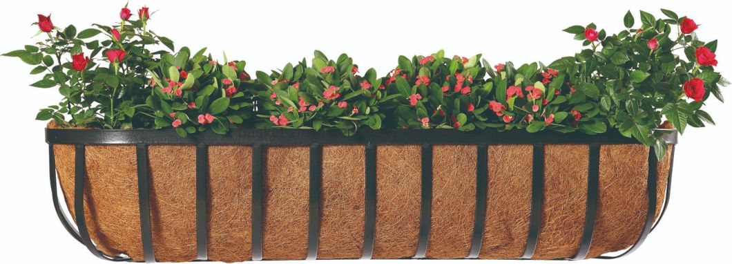 Natural Coconut Liner Iron Garden Pots Metal Wall Flower Basket with Coconut Coir (3 Sizes)
