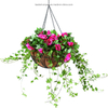 Noble Iron Wire Hanging Basket with Chain and Coco Liner for Home Gardening