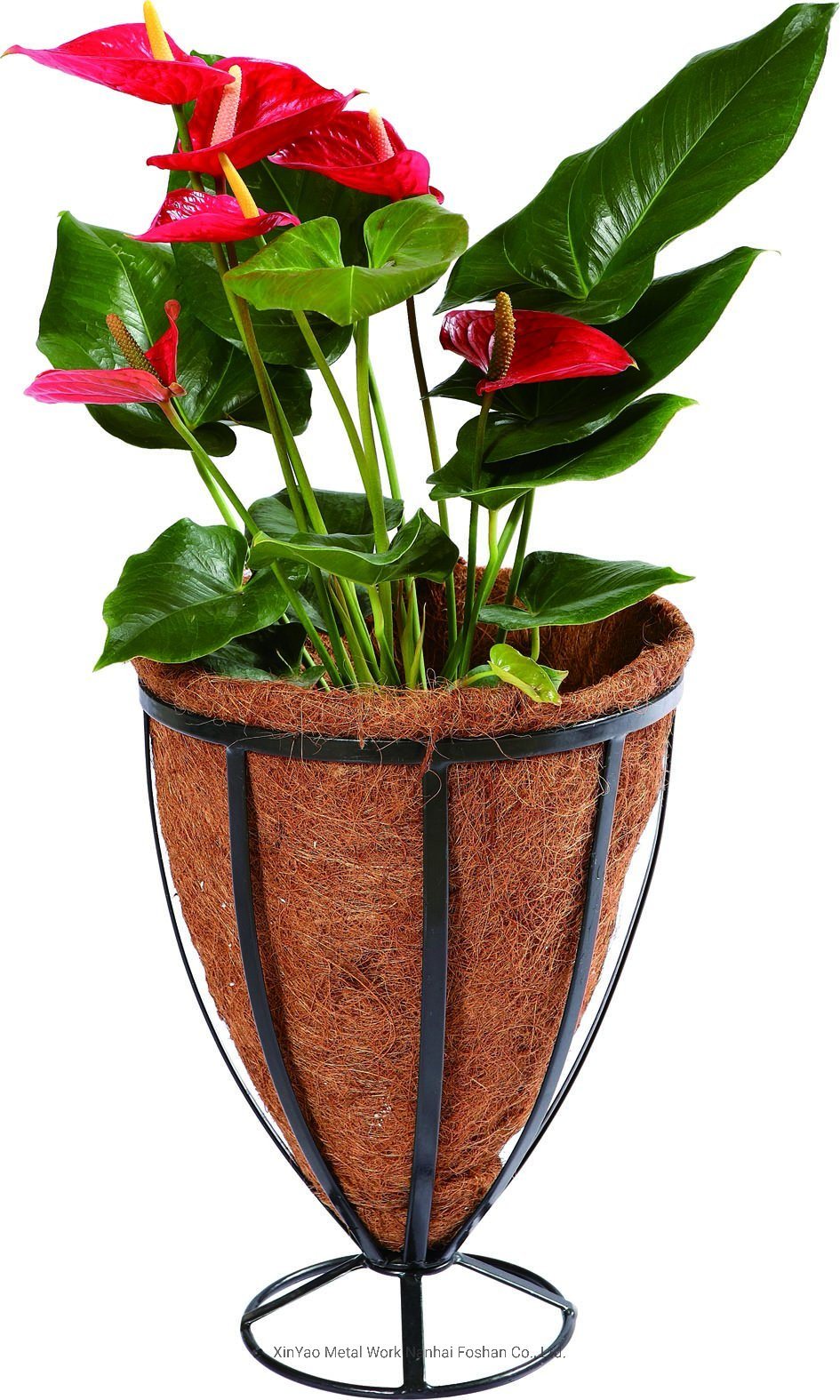 Deep Metal Flower Basket Iron Ground Planter with Coco Liner (BS090002)
