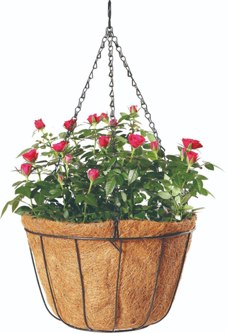 Simple Hanging Baskets Flower Planter with Coco Liner and Chain