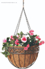 Wrought Iron Hanging Flower Baskets Planter with Coco Liner and Chain for Sale 