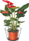 Balcony Flower Metal Wall Basket with a Plate (Xy11148/Xy11146/Xy12923)